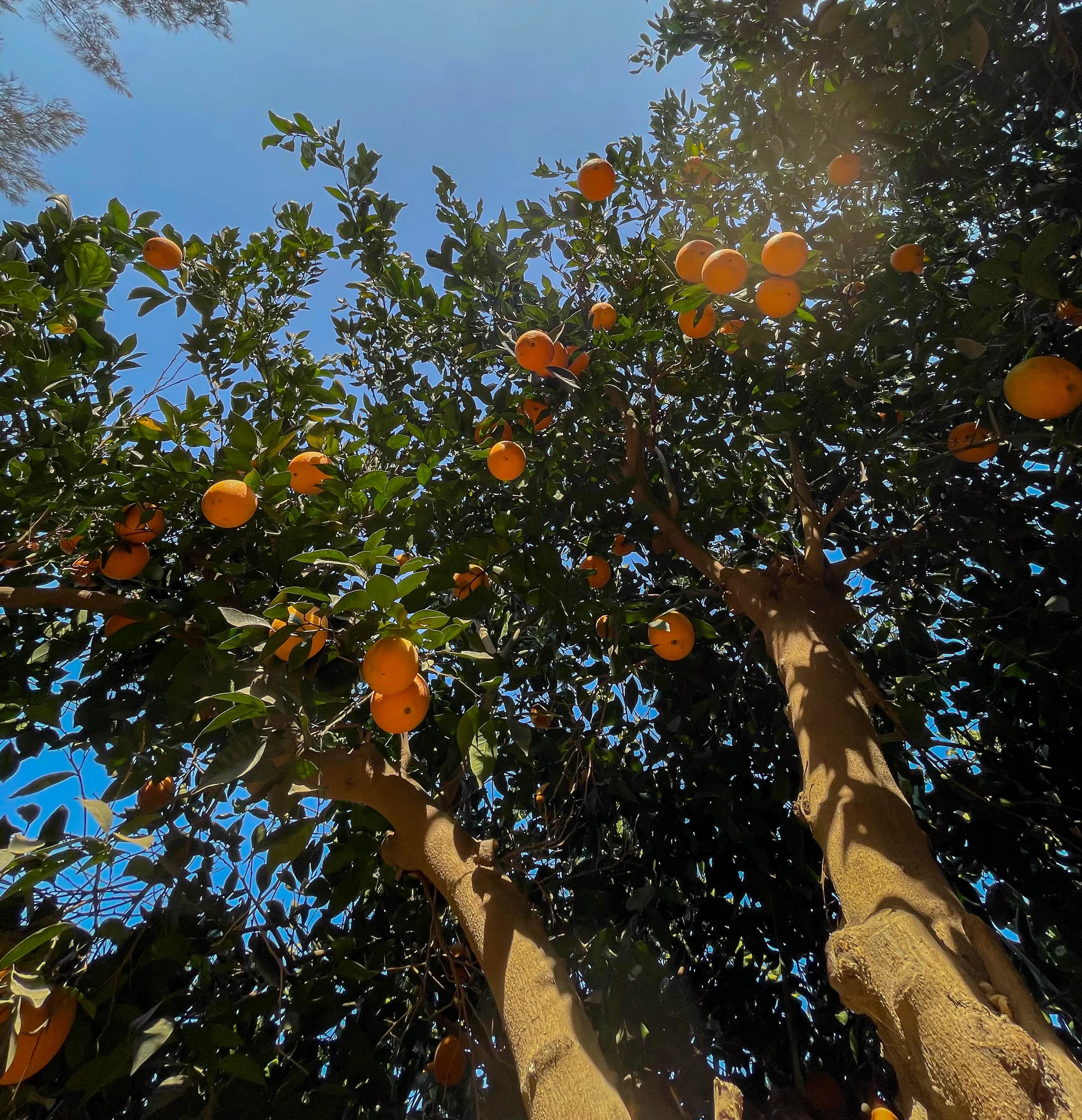 2.Infrastructure upgraded