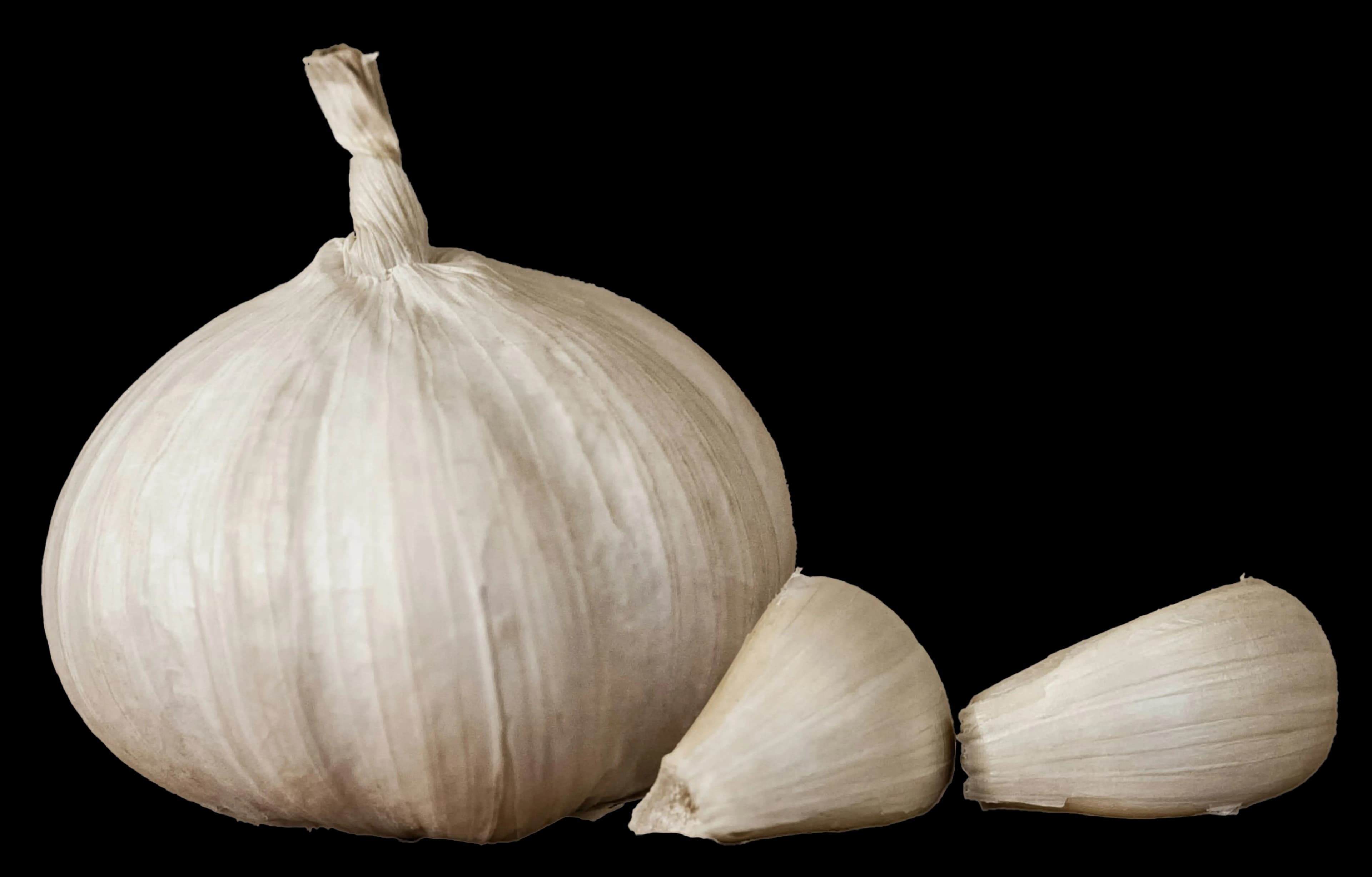 Egyptian Garlic