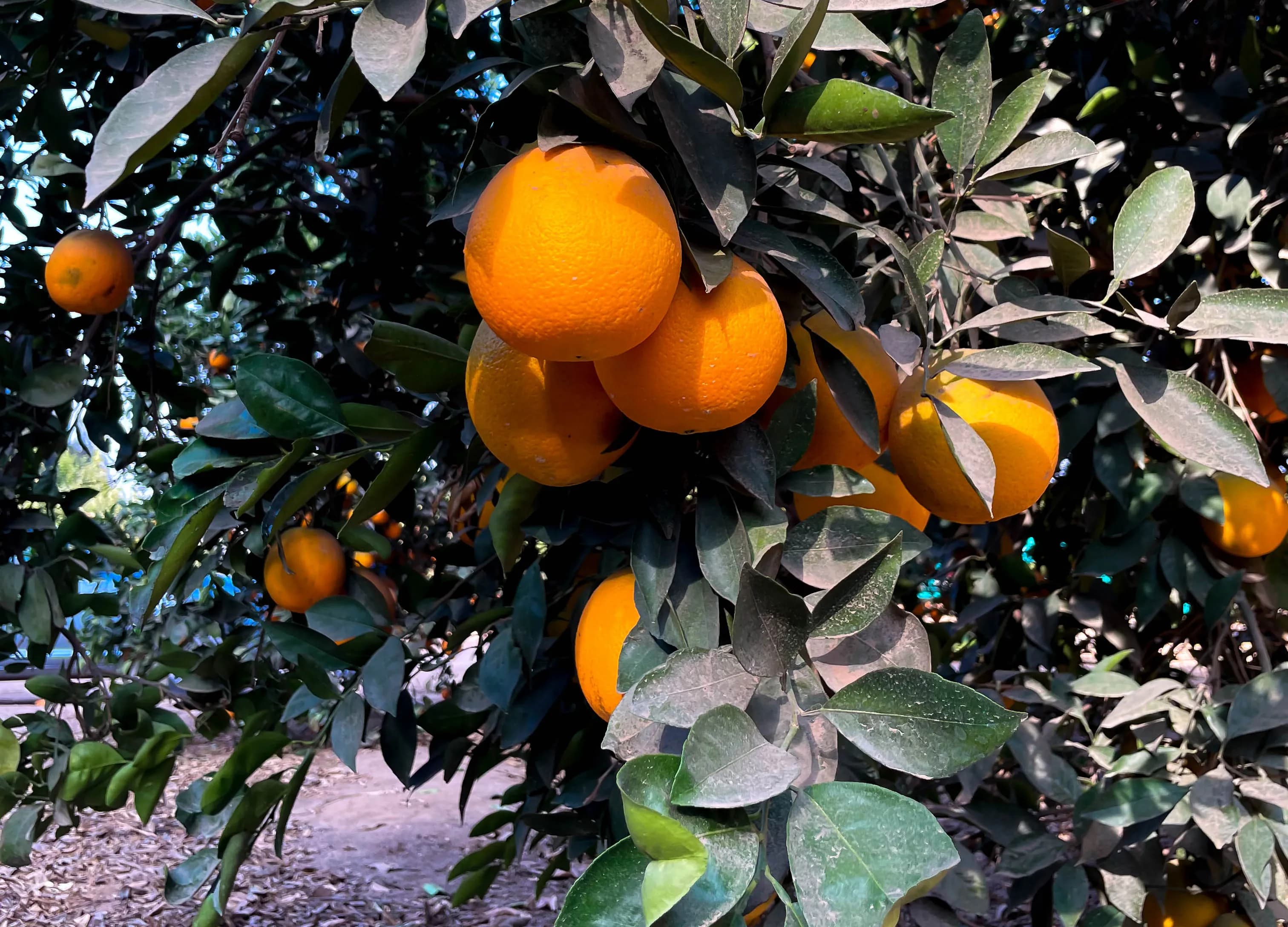 Reception & pre-cooling